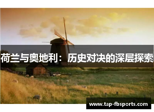 荷兰与奥地利：历史对决的深层探索