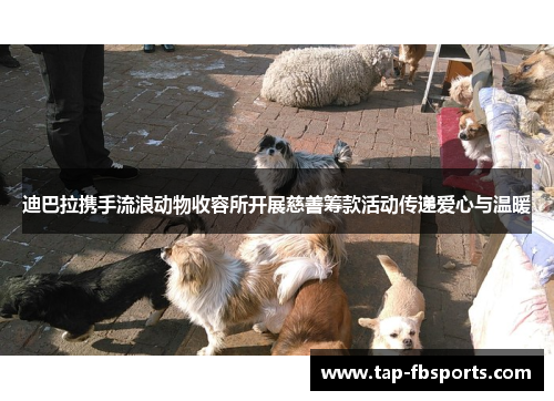 迪巴拉携手流浪动物收容所开展慈善筹款活动传递爱心与温暖